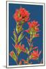 Indian Paintbrush-Lantern Press-Mounted Art Print