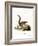 Indian Palm Squirrel-null-Framed Giclee Print