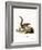 Indian Palm Squirrel-null-Framed Giclee Print