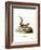 Indian Palm Squirrel-null-Framed Giclee Print