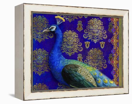 Indian Peacock-Maria Rytova-Framed Premier Image Canvas