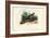 Indian Peafowl, 1863-79-Raimundo Petraroja-Framed Giclee Print