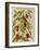 Indian Pepper. from 'Camerarius Florilegium'-Joachim Camerarius-Framed Giclee Print