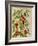 Indian Pepper. from 'Camerarius Florilegium'-Joachim Camerarius-Framed Giclee Print