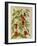 Indian Pepper. from 'Camerarius Florilegium'-Joachim Camerarius-Framed Giclee Print