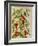 Indian Pepper. from 'Camerarius Florilegium'-Joachim Camerarius-Framed Giclee Print