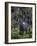 Indian rhino stands alone in a sunlit forest, India-Art Wolfe-Framed Photographic Print