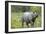 Indian Rhinoceros-Tony Camacho-Framed Photographic Print