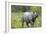 Indian Rhinoceros-Tony Camacho-Framed Photographic Print