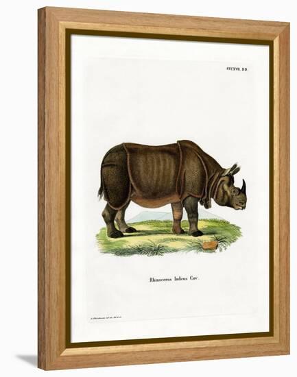 Indian Rhinoceros-null-Framed Premier Image Canvas