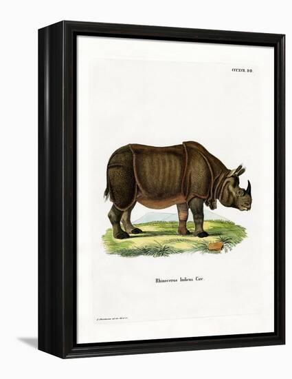 Indian Rhinoceros-null-Framed Premier Image Canvas