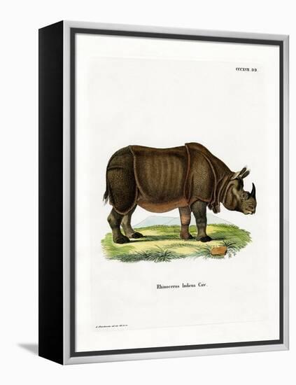 Indian Rhinoceros-null-Framed Premier Image Canvas