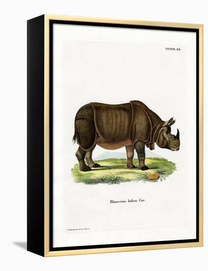 Indian Rhinoceros-null-Framed Premier Image Canvas