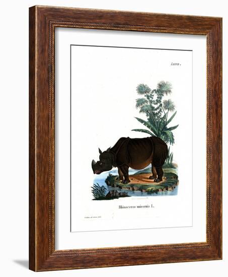 Indian Rhinoceros-null-Framed Giclee Print