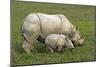 Indian Rhinoceroses-Tony Camacho-Mounted Photographic Print