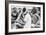 Indian Sikh Athlete, Berlin Olympics, 1936-null-Framed Giclee Print