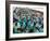 Indian Sikh Pilgrims Wait for Immigration Clearance at Wagah Railway Station Near Lahore-null-Framed Photographic Print