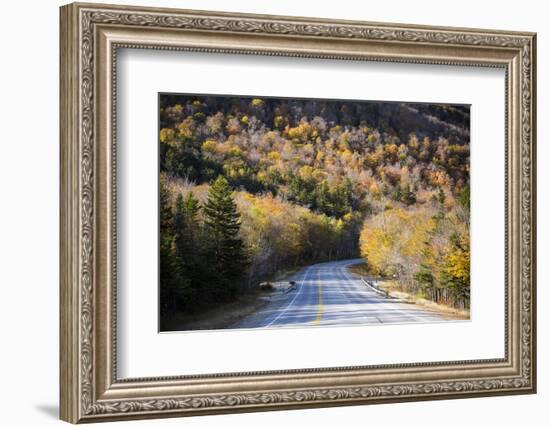 Indian Summer with Bretton Woods in the Us Federal State of New Hampshire-Armin Mathis-Framed Photographic Print