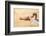 Indian Sunset Beach-Renate Holzner-Framed Art Print