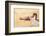 Indian Sunset Beach-Renate Holzner-Framed Art Print