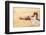 Indian Sunset Beach-Renate Holzner-Framed Art Print