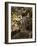 Indian Tiger (Bengal Tiger, Bandhavgarh National Park, Madhya Pradesh State, India-Milse Thorsten-Framed Photographic Print