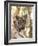 Indian Tiger (Bengal Tiger) (Panthera Tigris Tigris), Bandhavgarh National Park, India-Thorsten Milse-Framed Photographic Print