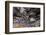 Indian Tunnel Lava Tube, Craters of the Moon National Monument-Alan Majchrowicz-Framed Photographic Print