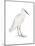 Indian White Heron-Maria Mendez-Mounted Giclee Print