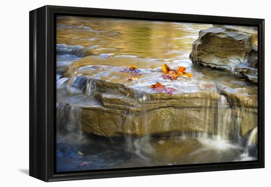 Indiana. Cataract Falls SNA, Rocks at Lower Cataract Waterfall-Rona Schwarz-Framed Premier Image Canvas