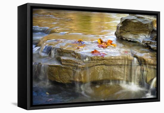 Indiana. Cataract Falls SNA, Rocks at Lower Cataract Waterfall-Rona Schwarz-Framed Premier Image Canvas