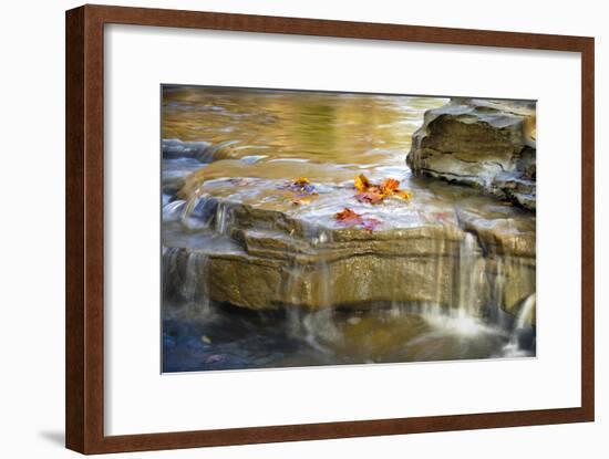 Indiana. Cataract Falls SNA, Rocks at Lower Cataract Waterfall-Rona Schwarz-Framed Photographic Print