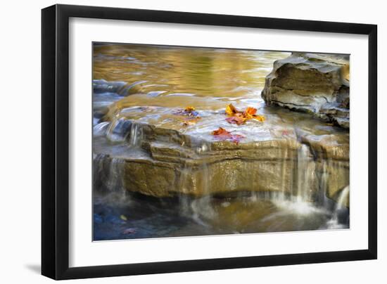 Indiana. Cataract Falls SNA, Rocks at Lower Cataract Waterfall-Rona Schwarz-Framed Photographic Print