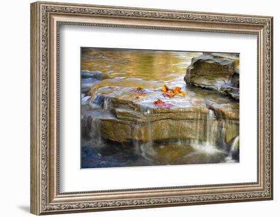 Indiana. Cataract Falls SNA, Rocks at Lower Cataract Waterfall-Rona Schwarz-Framed Photographic Print