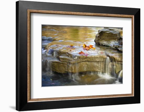 Indiana. Cataract Falls SNA, Rocks at Lower Cataract Waterfall-Rona Schwarz-Framed Photographic Print