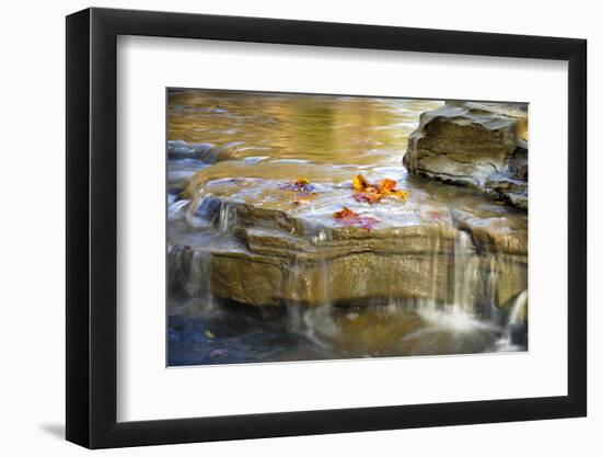 Indiana. Cataract Falls SNA, Rocks at Lower Cataract Waterfall-Rona Schwarz-Framed Photographic Print