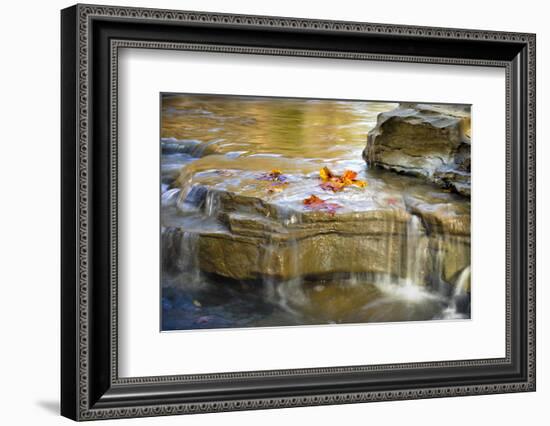 Indiana. Cataract Falls SNA, Rocks at Lower Cataract Waterfall-Rona Schwarz-Framed Photographic Print