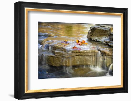 Indiana. Cataract Falls SNA, Rocks at Lower Cataract Waterfall-Rona Schwarz-Framed Photographic Print