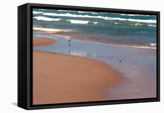 Indiana Dunes beach and Lake Michigan, Indiana Dunes, Indiana, USA-Anna Miller-Framed Premier Image Canvas