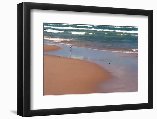 Indiana Dunes beach and Lake Michigan, Indiana Dunes, Indiana, USA-Anna Miller-Framed Photographic Print