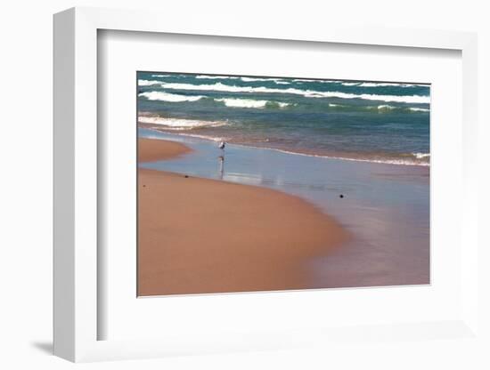 Indiana Dunes beach and Lake Michigan, Indiana Dunes, Indiana, USA-Anna Miller-Framed Photographic Print