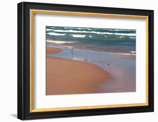 Indiana Dunes beach and Lake Michigan, Indiana Dunes, Indiana, USA-Anna Miller-Framed Photographic Print