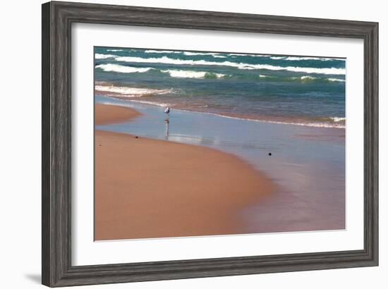 Indiana Dunes beach and Lake Michigan, Indiana Dunes, Indiana, USA-Anna Miller-Framed Photographic Print