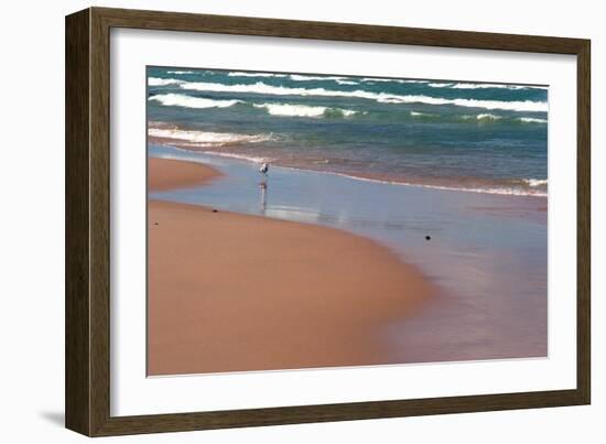 Indiana Dunes beach and Lake Michigan, Indiana Dunes, Indiana, USA-Anna Miller-Framed Photographic Print