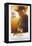 Indiana Jones and the Last Crusade, US Advance Poster, Harrison Ford, 1989-null-Framed Stretched Canvas