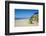 Indiana Sand Dunes, Indiana, United States of America, North America-Michael Runkel-Framed Photographic Print