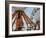 Indiana State Fair, Indianapolis, Indiana, Usa-Anna Miller-Framed Photographic Print