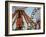 Indiana State Fair, Indianapolis, Indiana, Usa-Anna Miller-Framed Photographic Print