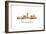 Indianapolis Indiana Skyline-Marlene Watson-Framed Giclee Print