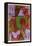 Indianisch-Paul Klee-Framed Premier Image Canvas